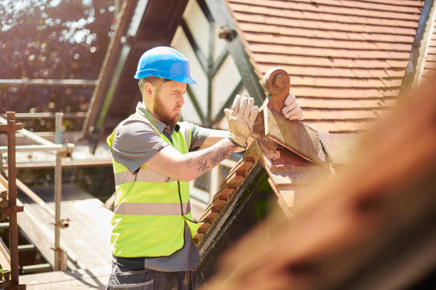 Best Roof Gutter Cleaning  in Ocilla, GA