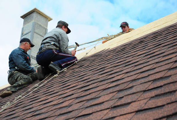 Roof Gutter Cleaning in Ocilla, GA